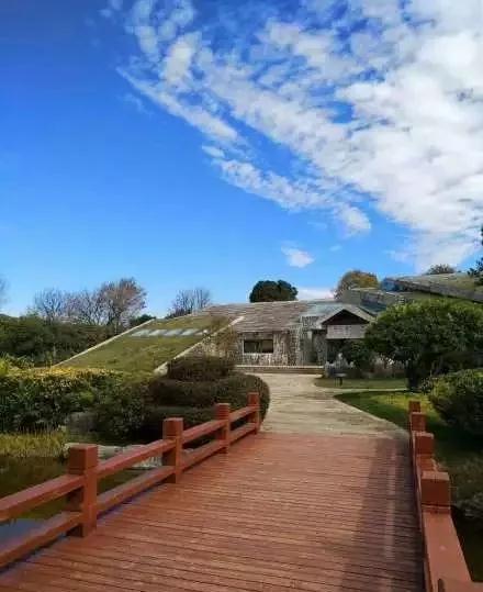 蓝花楹昆明网红打卡地在哪里,昆明周边湿地公园网红打卡地