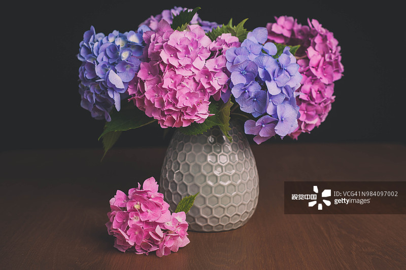 6种美好的花儿，陪你走过整个夏天的各个节气