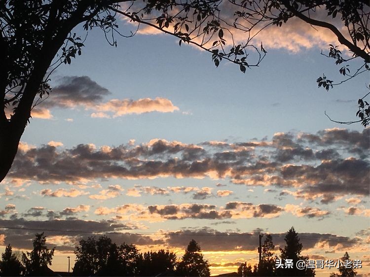 加拿大_WestRichmond西列治文社区夏秋