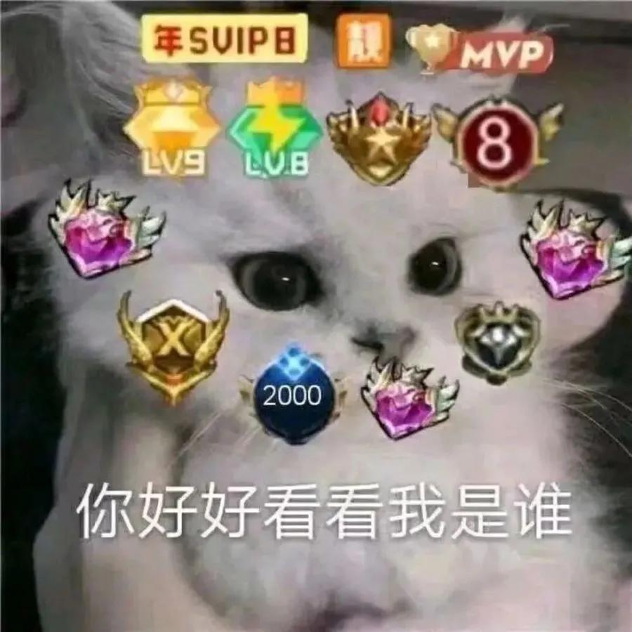 bangdream沙雕表情包,搞笑图片沙雕表情包王者