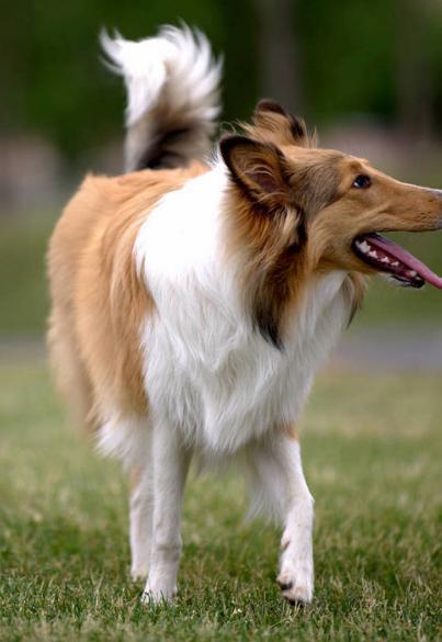 letsgo带你去兜风,letsgo旅行视频