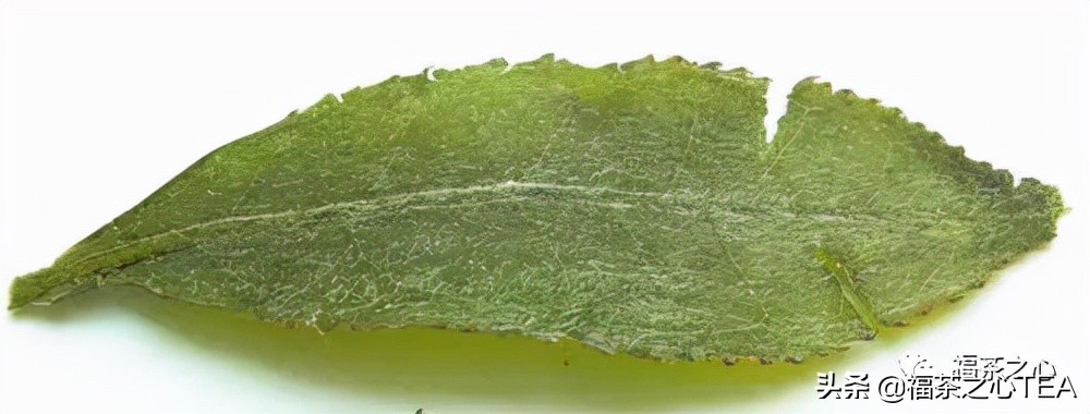 福建最好的茶叶有哪些,福建有哪些茶叶比较好