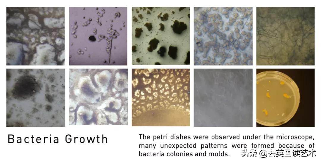 港版王漫妮：从TVB到CSM，三十而已我拒绝困在原地