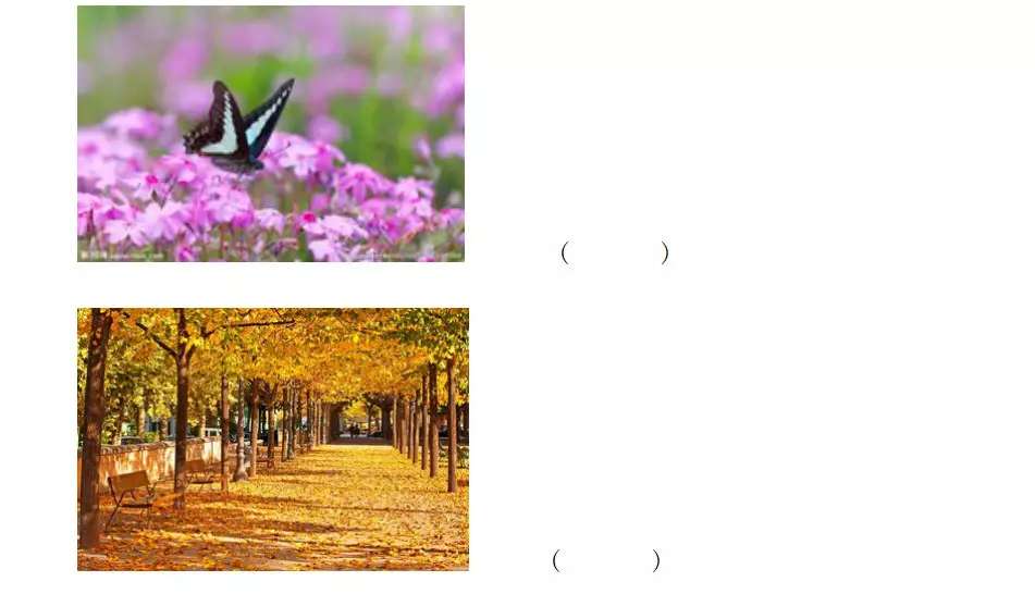 一年级语文下册春夏秋冬生字笔画,春夏秋冬一年级课文分几个自然段