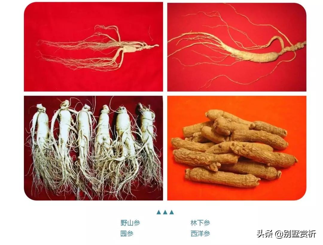 人参几元,人参几块钱