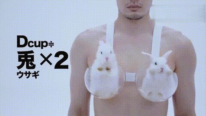 一个正经的问题应该怎么问,一般人一个乳房重量是多少