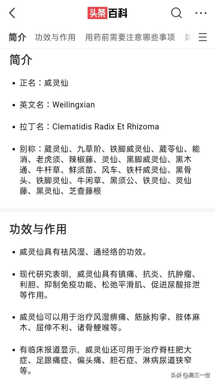 鱼刺卡喉医生看不到怎么办,鱼刺卡喉一片树叶就能搞定