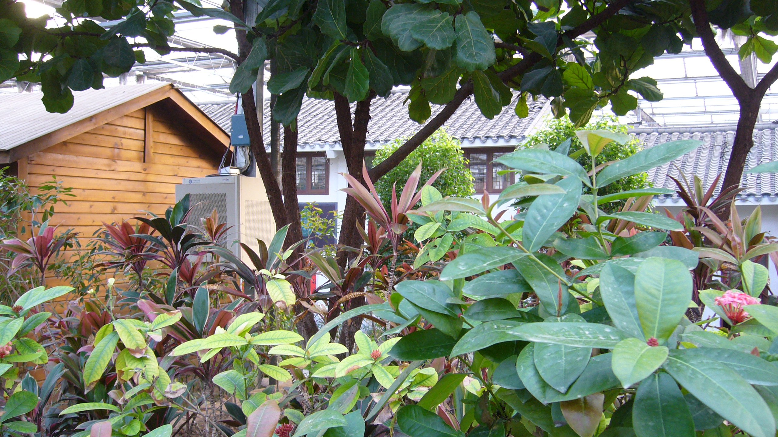 呀路古热带植物园和九天休闲谷,九天休闲谷热带植物园