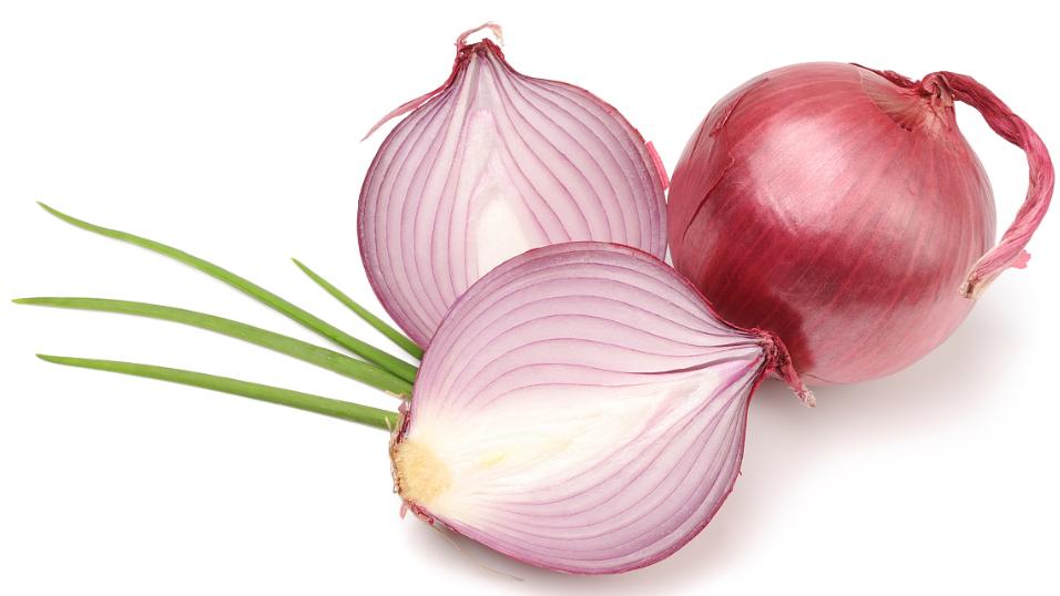 狗大便带血什么原因,狗尿中带血怎么回事