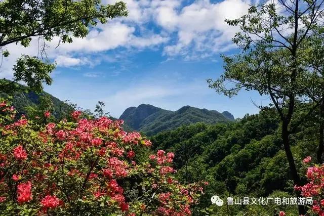 尧山风景区尧山索道特惠票,尧山风景区购买索道免门票