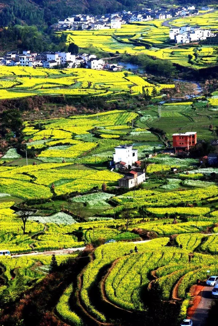 一个徽州惊艳全世界,徽州凭什么惊艳世界