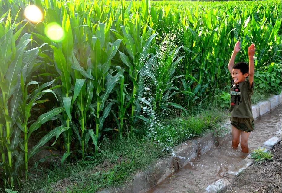 乡土散文,乡土散文经典作品