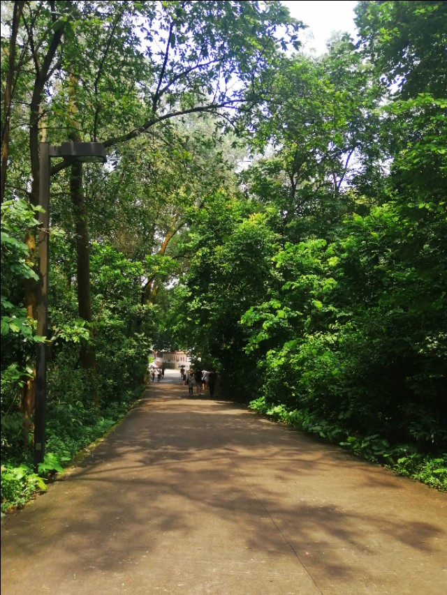 东莞旗峰公园掠影,东莞旗峰公园大体俯视图片