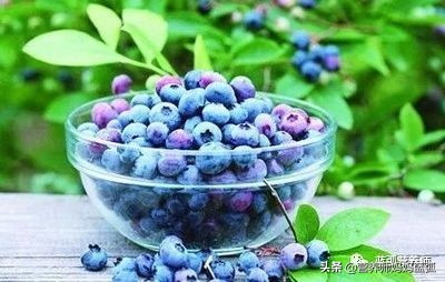 近视的孩子建议吃什么护眼,孩子近视应该吃什么护眼片比较好