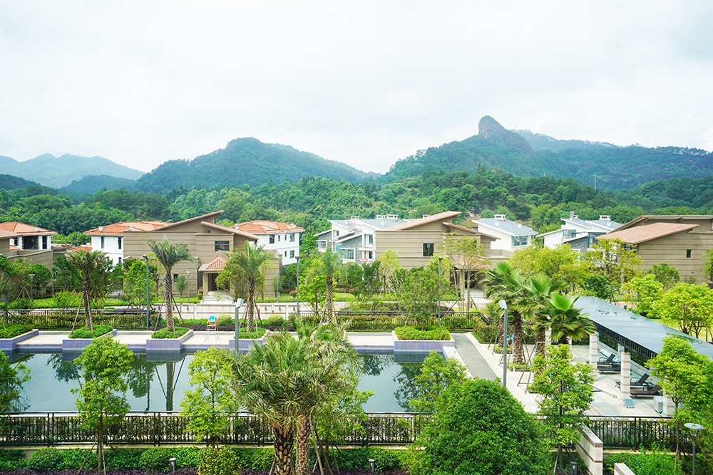 武夷山千禧大酒店金凤凰,武夷山千禧酒店温泉