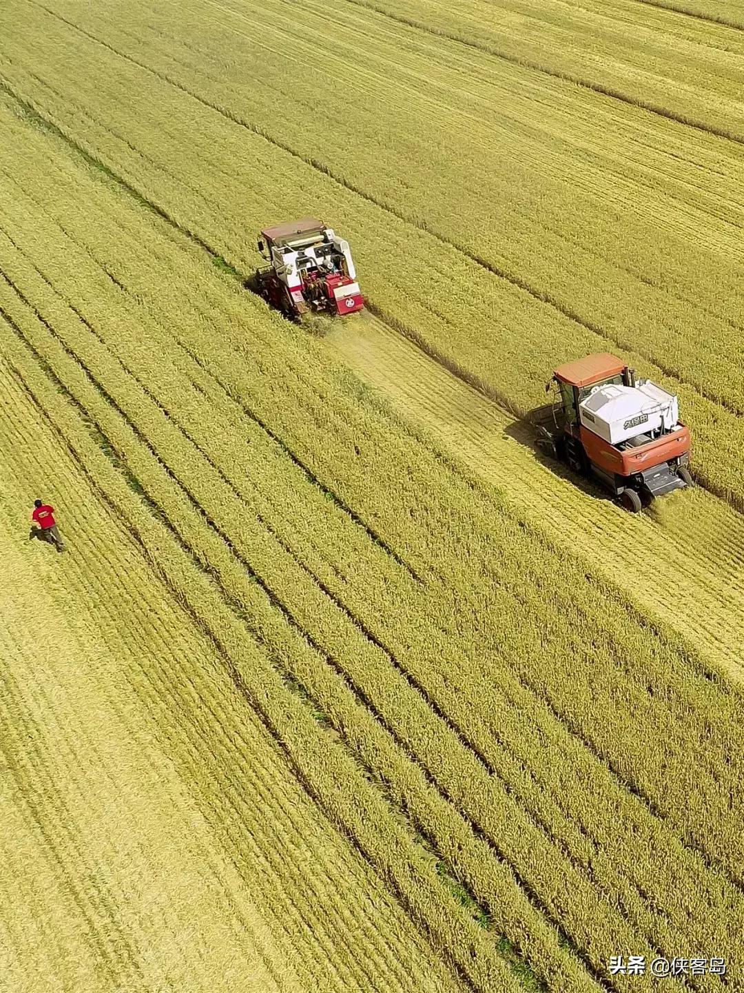侠客岛:乡愁里的中国