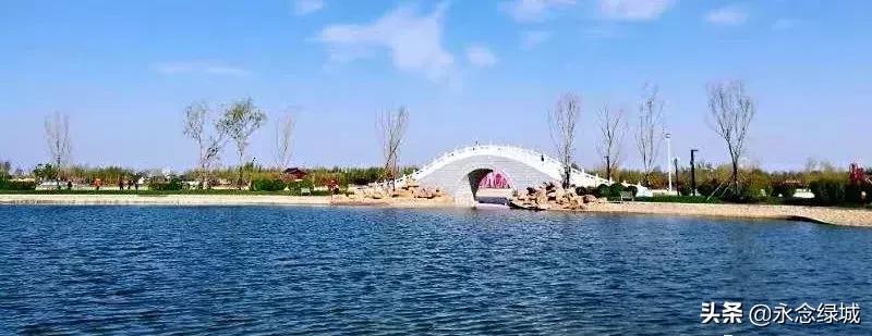 南阳世界月季大观园开幕邀请,南阳月季大观园门票现在免费政策