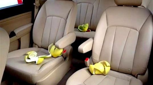 果皮除甲醛最好的方法,除甲醛最有效果的绿植