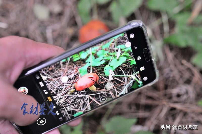 沈阳周边自然风光一日游的地方,沈阳隐秘的地方