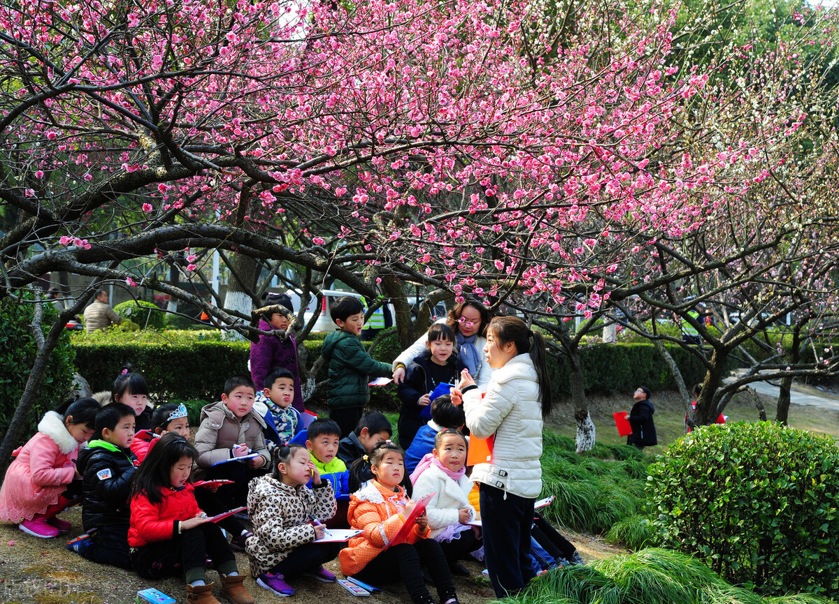 福州周边亲子春游,亲子春游活动方案小班