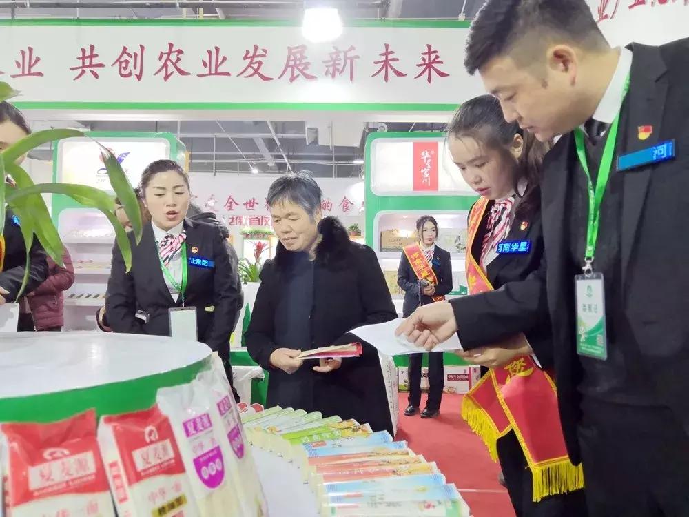 永城面博会策划,永城面博会照片