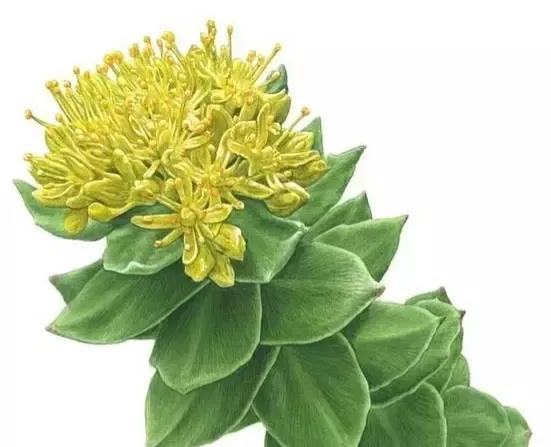 女人如水妻子越柔越旺夫旺家,女人温柔如水才能旺家