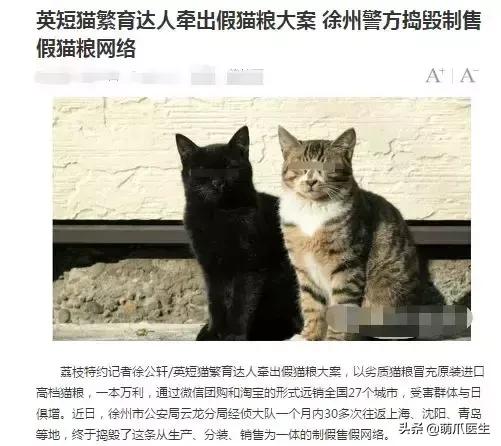 足不出户线上看诊,24小时猫病在线咨询