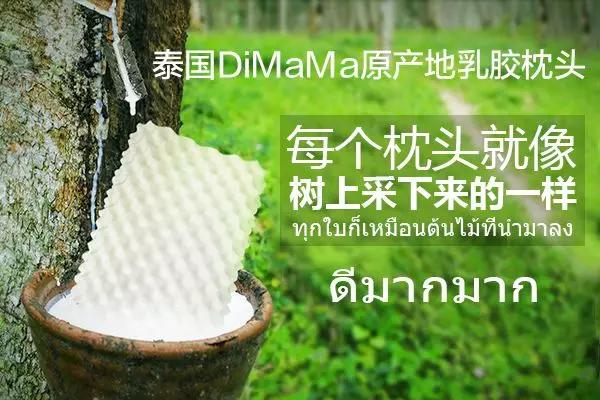 泰国正宗乳胶枕头什么牌子最好,买乳胶枕头买哪个牌子正宗