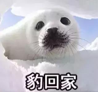 医保目录调整后,医保目录有的药医院不给报