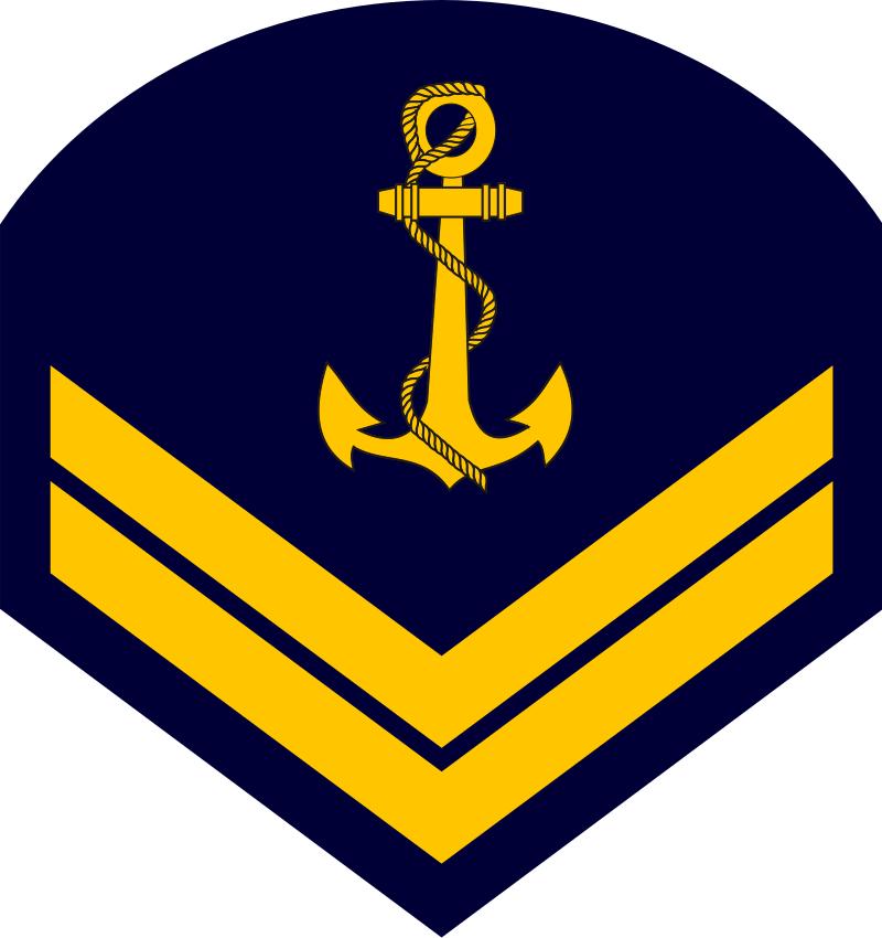 巴西军衔图片,各国军衔标识俄罗斯