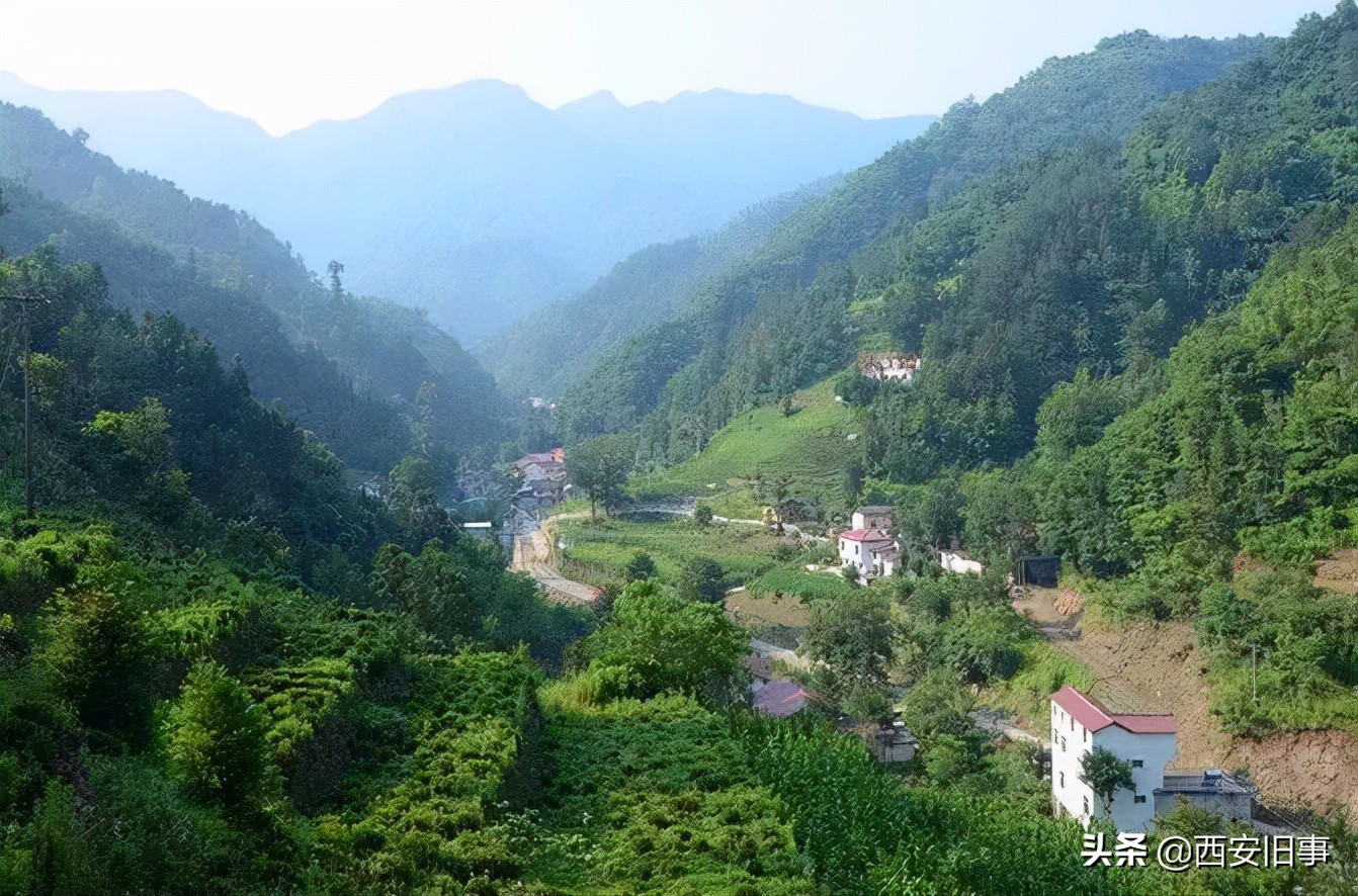 无拙庄主简介,无拙