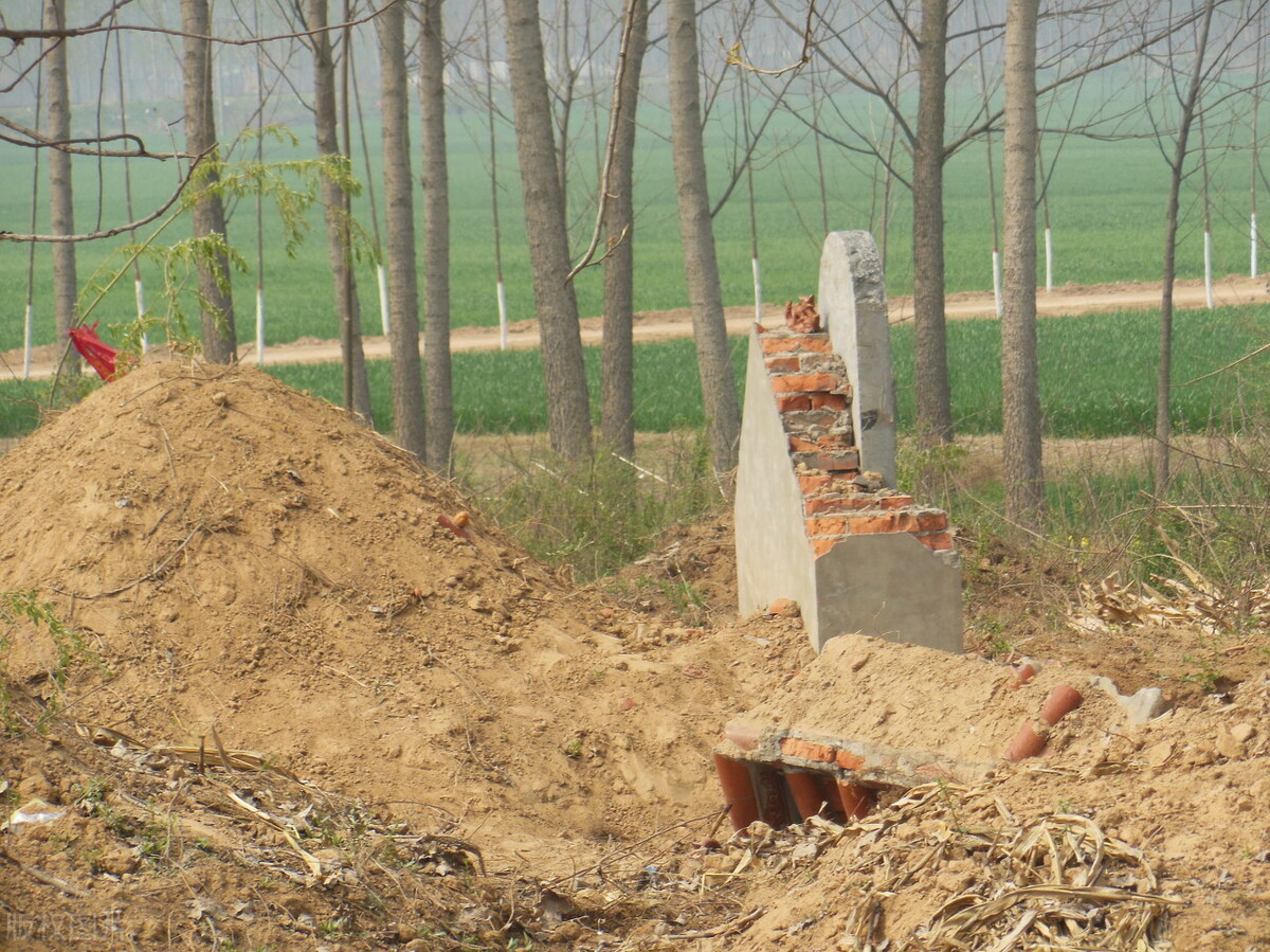 殡葬改革对土坟会怎么处理呢,关于殡葬改革的生态葬