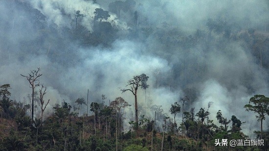 巴西总统希望恢复足球比赛,巴西总统抗疫情