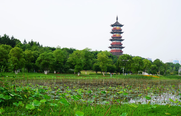 南昌动物园哪里有大象,南昌大象公园