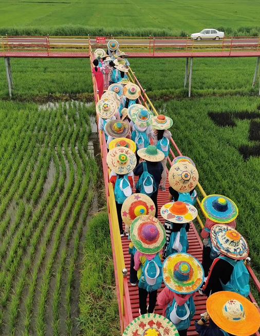 海兰江畔稻花香地址,海兰江畔稻花香