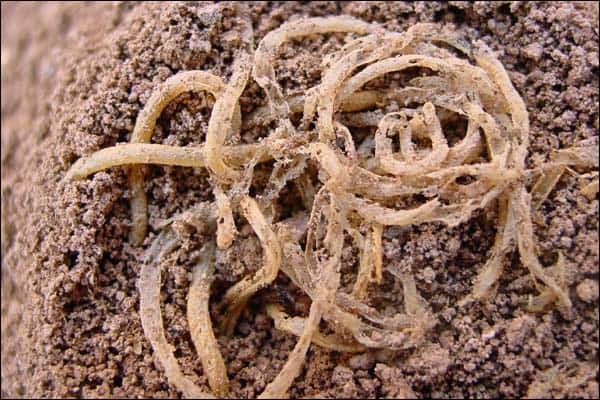 古人的智慧中华文明,中华文明有哪些独到的发明创造