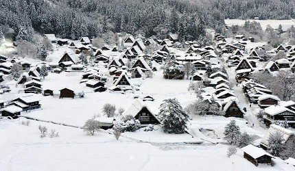 名古屋中部机场购物攻略,名古屋新特利亚机场
