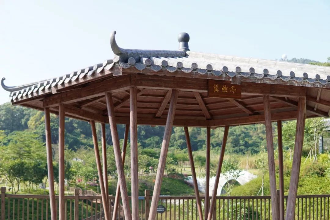 人少还免门票！深圳这片5000000㎡新公园美翻了，“神仙花谷”