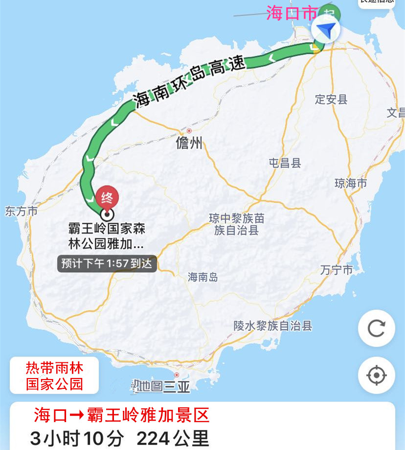 1500年的“母生”藏于此，这里集海南珍稀名木，神奇霸王岭