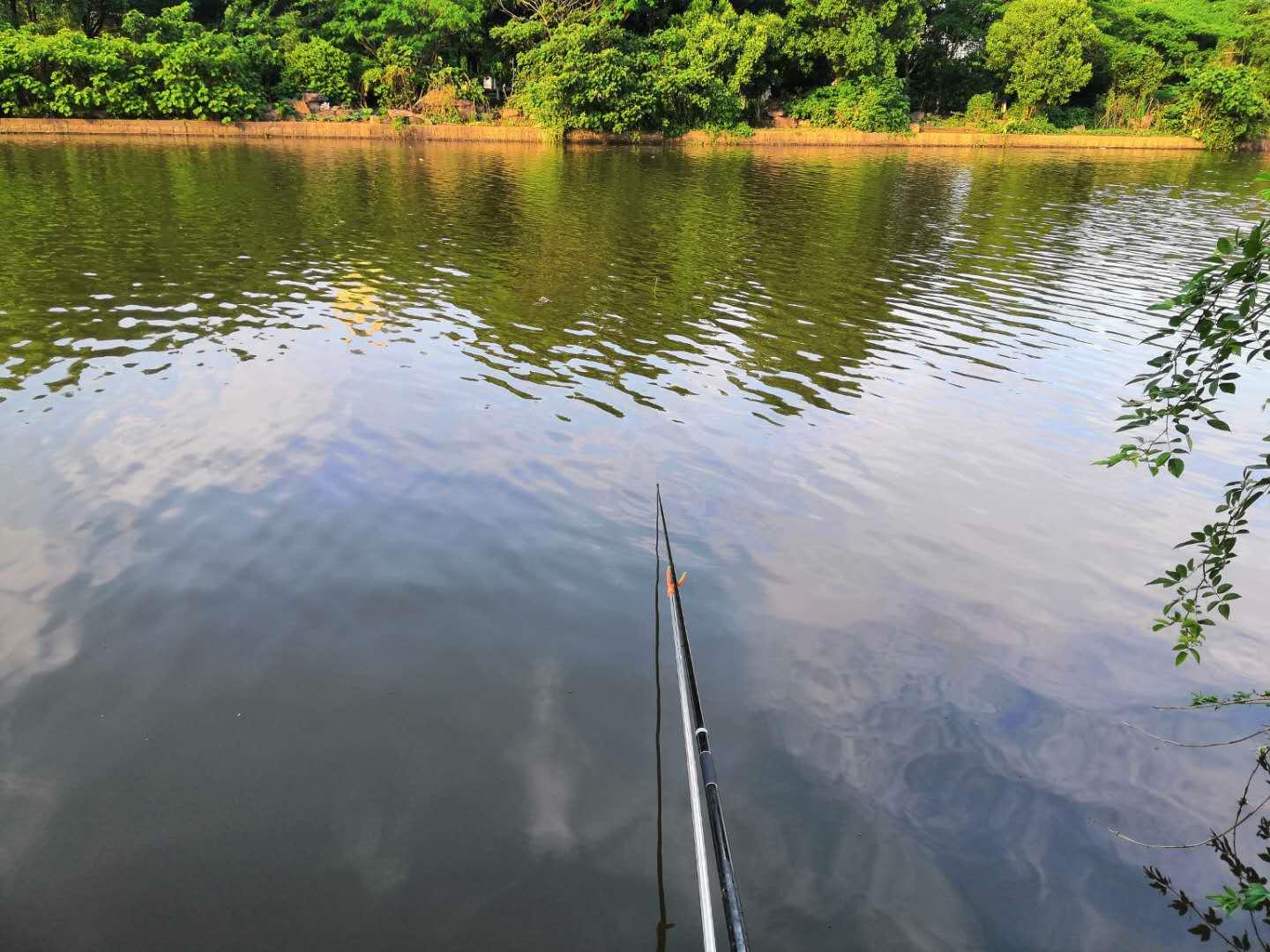 野钓走水怎么选钓点,老钓友亲身传授野钓鲫鱼的秘诀