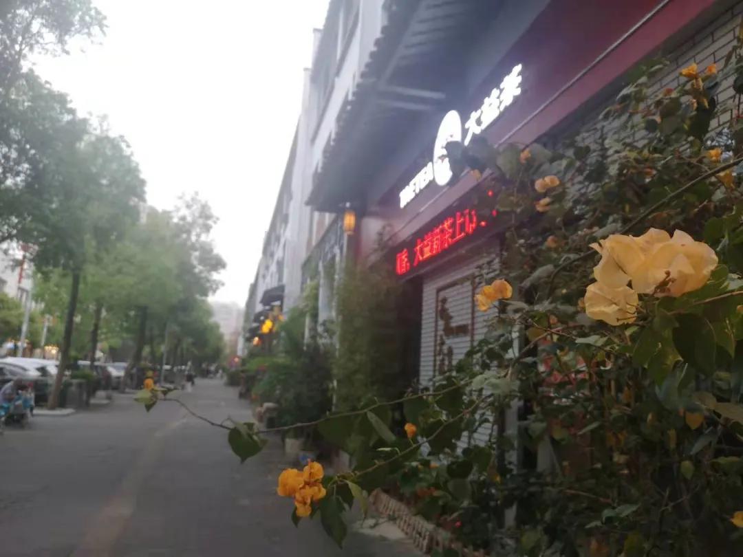 坂田手造文化街开放时间,坂田手造文化街