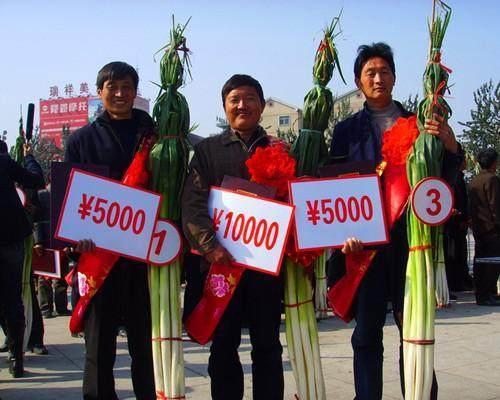 济南几大怪,济南十大怪事件