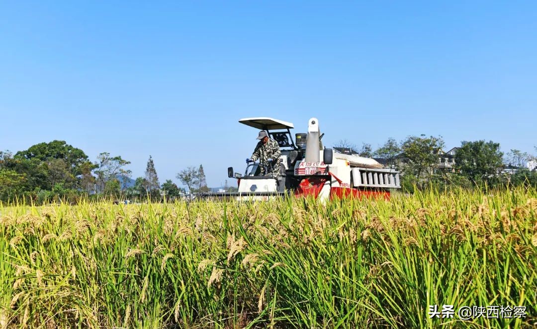 每日新闻早知道（20211110）