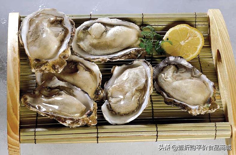 现在的牡蛎可以吃吗,牡蛎可以生吃的有哪些