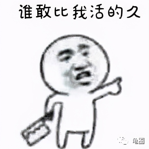 养龟人有什么习惯,养龟人有哪些习惯