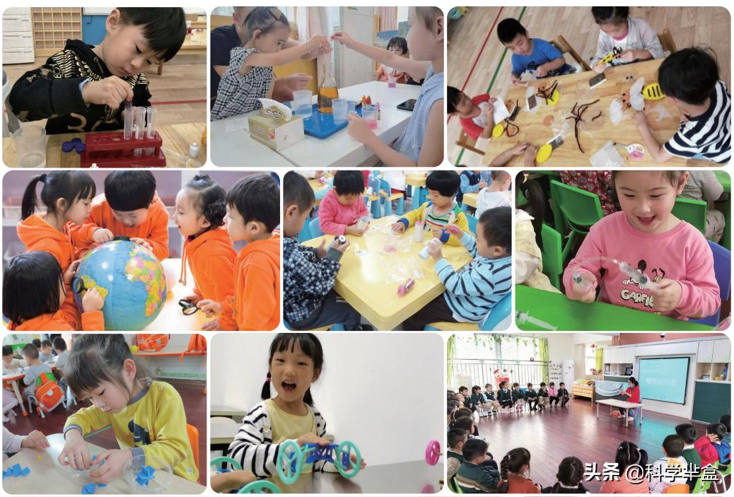 幼儿园科学领域公开课怎么上,幼儿园科学课怎么上最成功