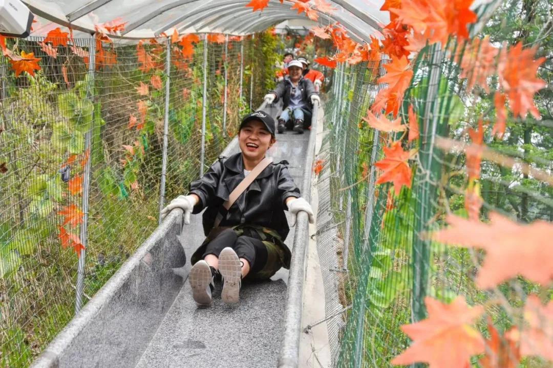 黄陵森林公园哪里好玩,黄陵国家森林公园游玩项目花费