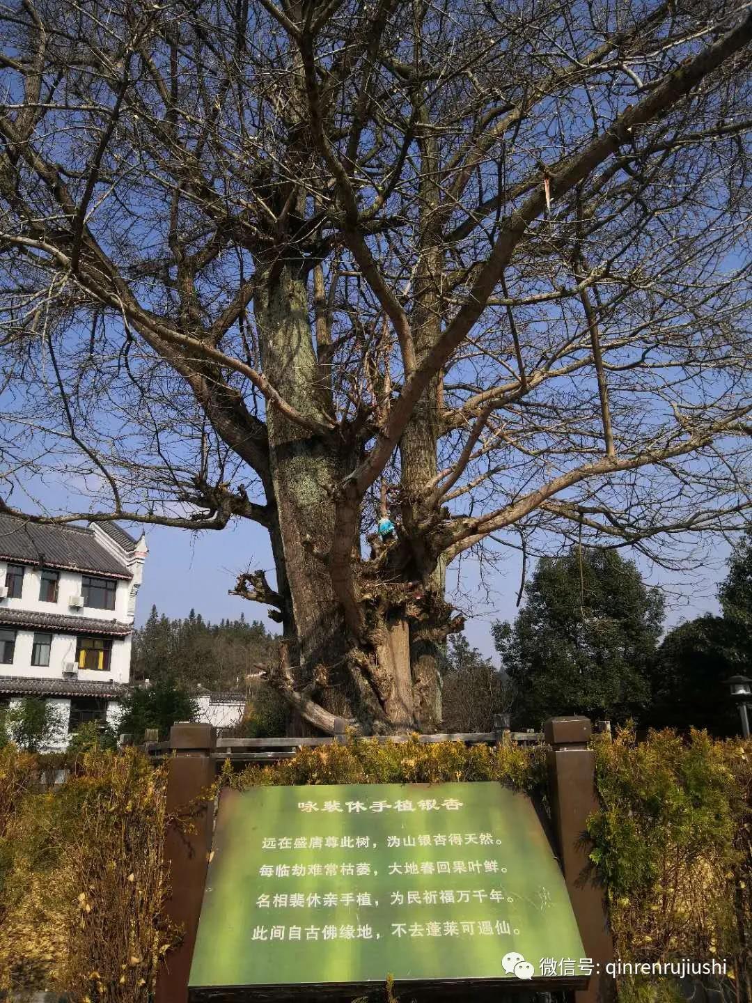 人生百味87:要用一座山来代表湖湘文化,则非湖南宁乡沩山不可