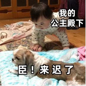 不节食减肥运动快速燃脂,不运动不反弹的健康减肥