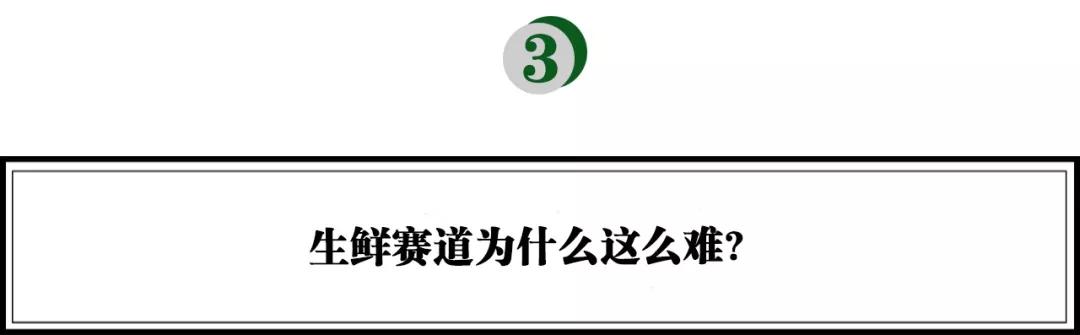 熊猫资本深度解析,熊猫公司创始人李论